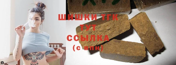 амф Краснослободск