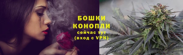 амф Краснослободск