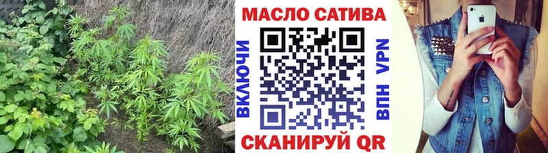Купить где  Камызяк  ТГК концентрат 