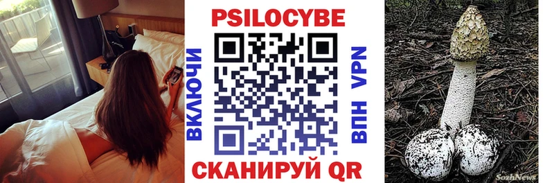 Галлюциногенные грибы Magic Shrooms  Купить где  Камызяк 